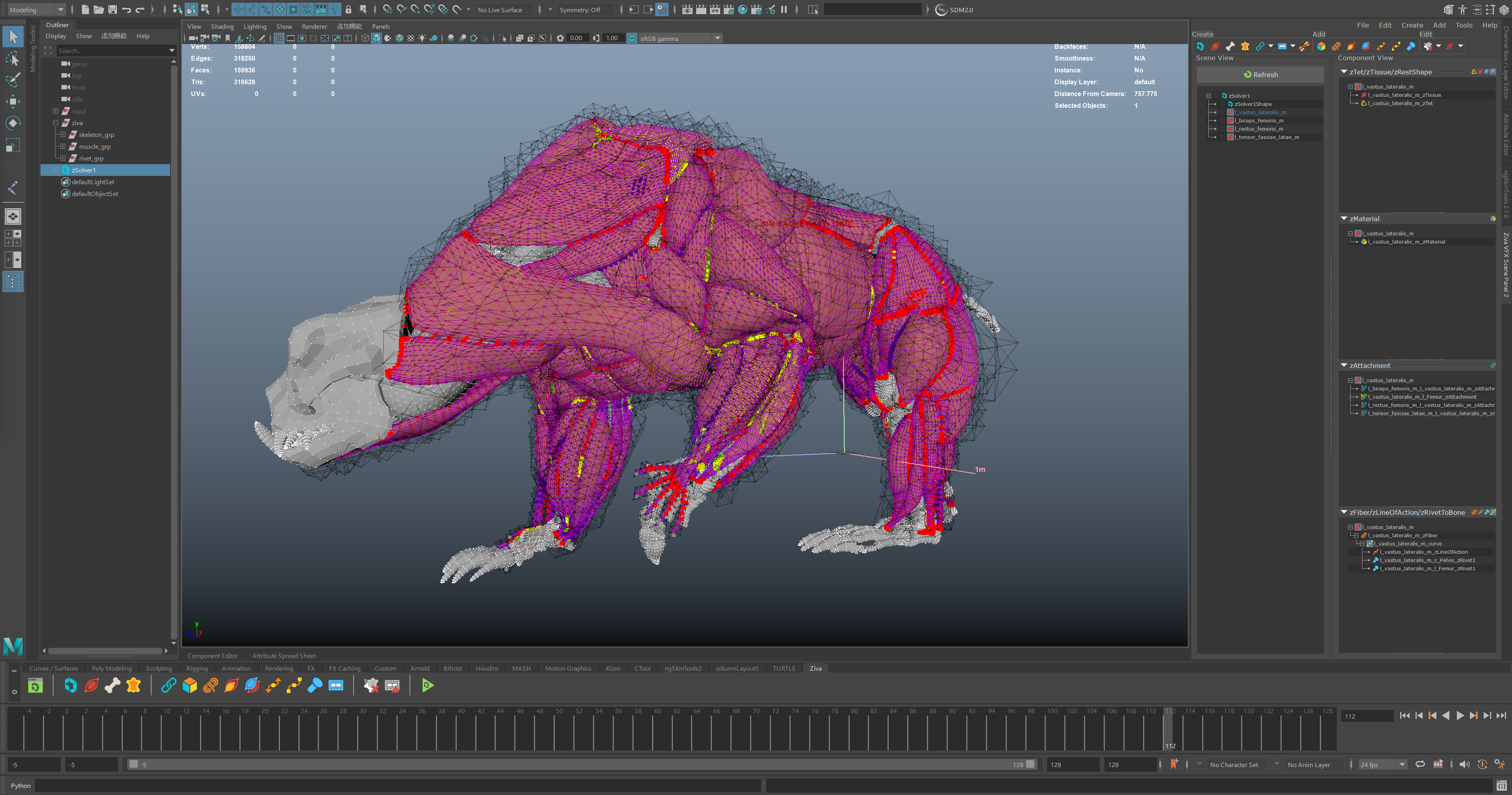 モンスターの筋肉シミュレーション設定例