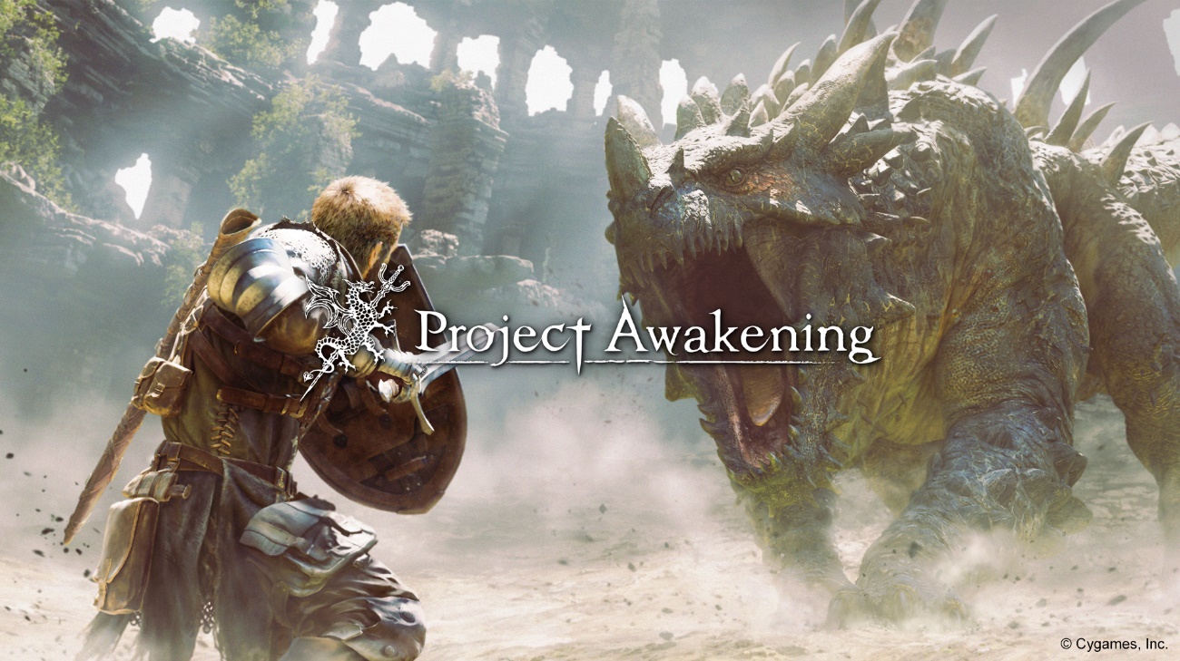 制作実績：Project Awakening