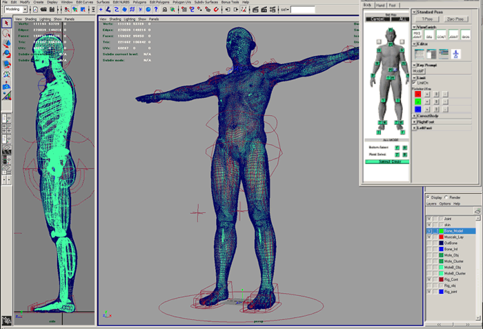 ミズノ株式会社 Mayaによるリアルな3d人体モデルがミズノのウエア基幹機能を支える ユーザー事例 Autodesk Area Japan