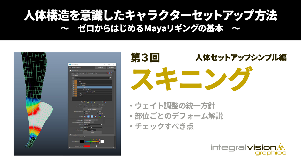 第3回：人体セットアップシンプル編/スキニング | 人体構造を意識した