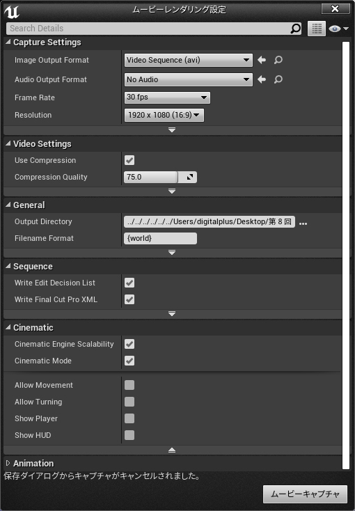 Render Movie Settings