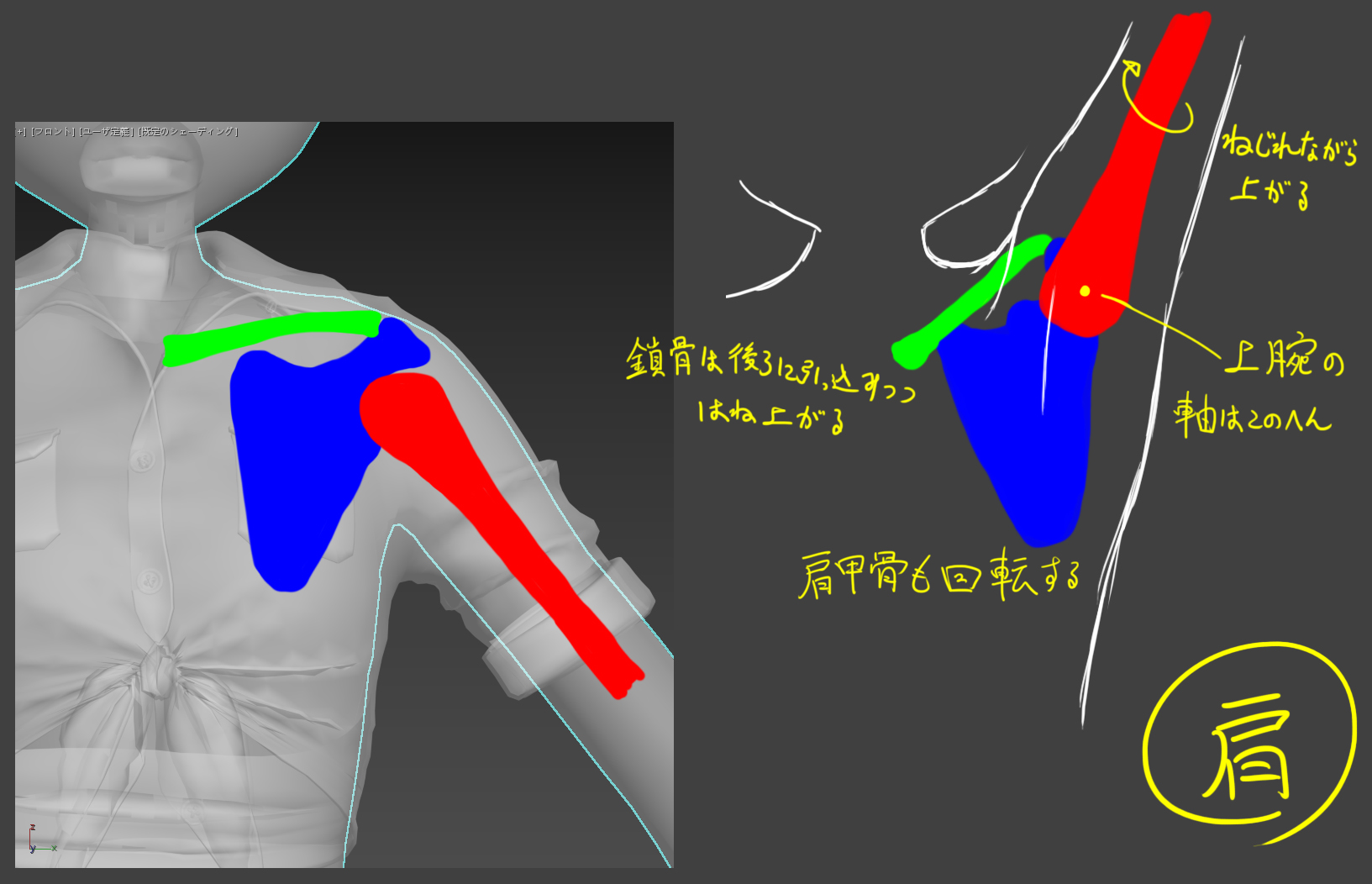 第6回 リギングその 人体の構造を理解する Characterarpeggio 3ds Max 17 キャラクター作成術 Area Japan