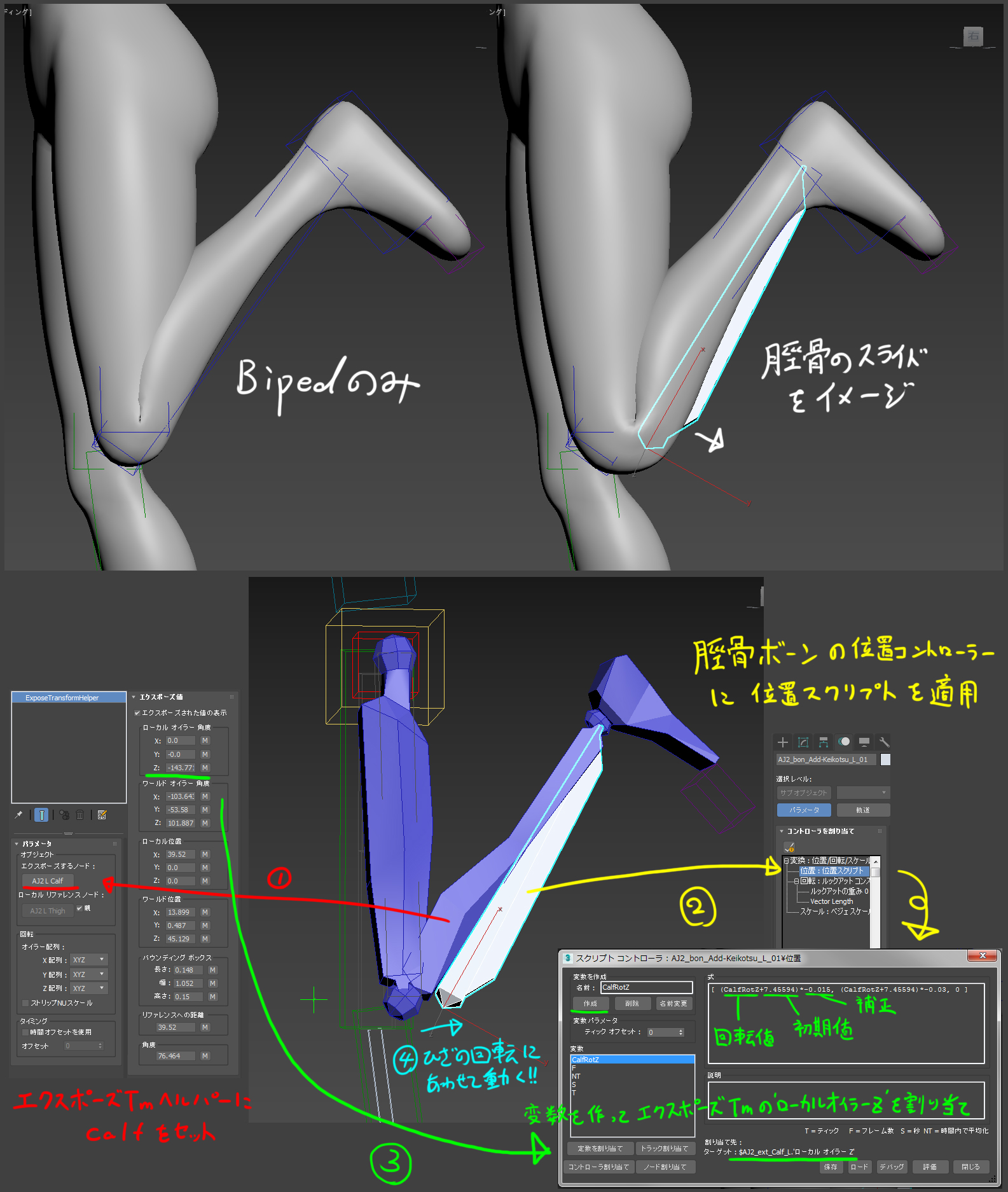 第6回 リギングその 人体の構造を理解する Characterarpeggio 3ds Max 17 キャラクター作成術 Area Japan