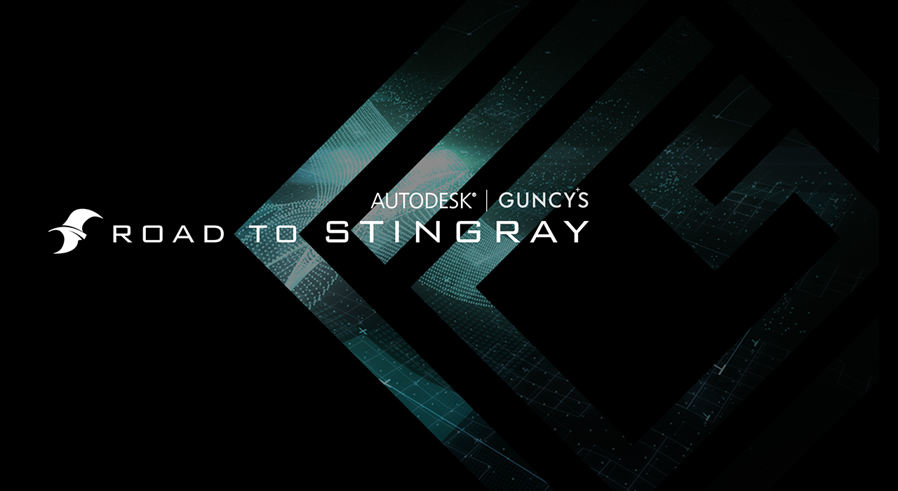 ROAD TO STINGRAY